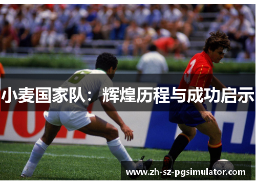 小麦国家队：辉煌历程与成功启示