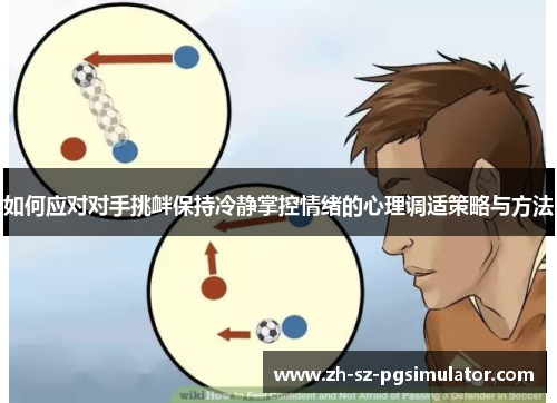 如何应对对手挑衅保持冷静掌控情绪的心理调适策略与方法