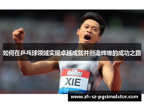 如何在乒乓球领域实现卓越成就并创造辉煌的成功之路