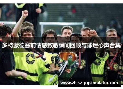 多特蒙德赛前情感致敬瞬间回顾与球迷心声合集