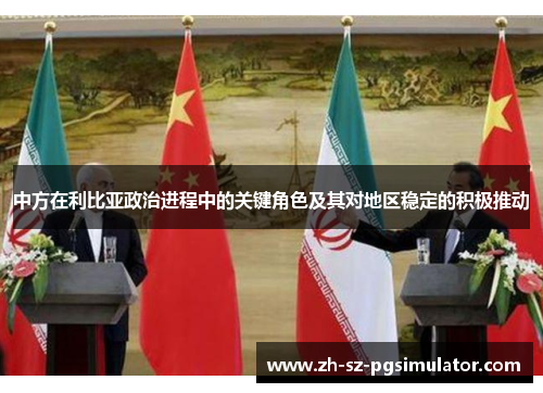 中方在利比亚政治进程中的关键角色及其对地区稳定的积极推动