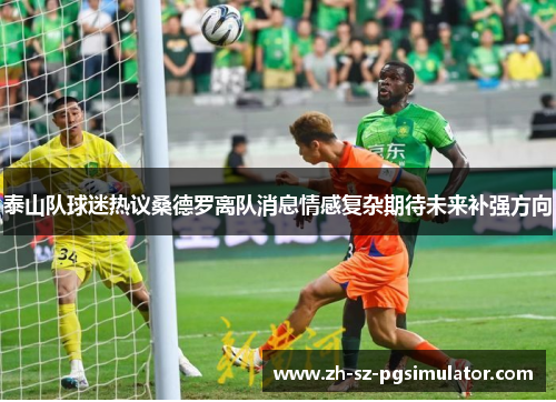 泰山队球迷热议桑德罗离队消息情感复杂期待未来补强方向