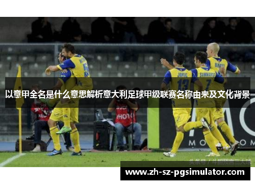 以意甲全名是什么意思解析意大利足球甲级联赛名称由来及文化背景
