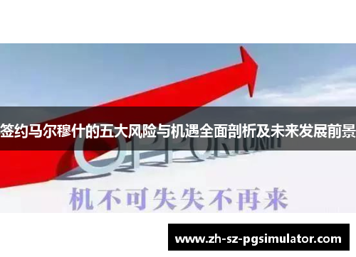 签约马尔穆什的五大风险与机遇全面剖析及未来发展前景