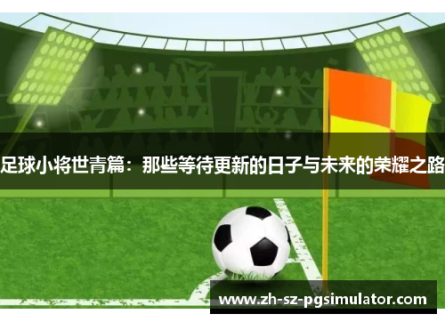 足球小将世青篇：那些等待更新的日子与未来的荣耀之路