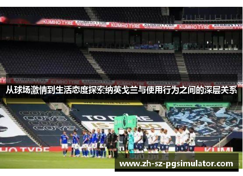 从球场激情到生活态度探索纳英戈兰与使用行为之间的深层关系