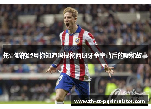 托雷斯的绰号你知道吗揭秘西班牙金童背后的昵称故事