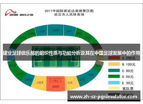 建业足球俱乐部的组织性质与功能分析及其在中国足球发展中的作用