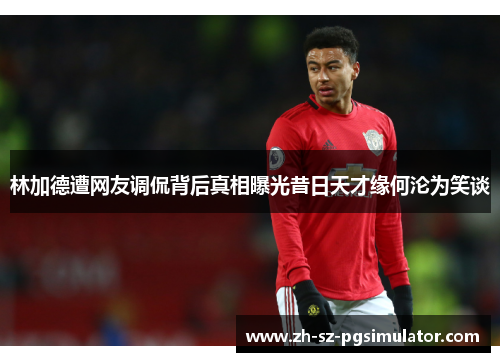 林加德遭网友调侃背后真相曝光昔日天才缘何沦为笑谈