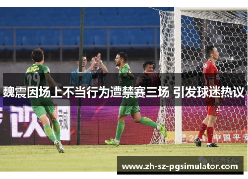 魏震因场上不当行为遭禁赛三场 引发球迷热议