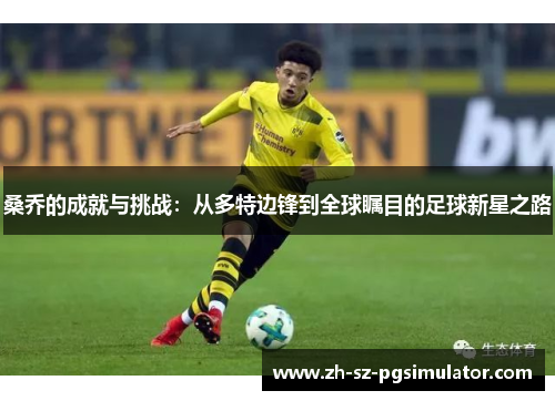 桑乔的成就与挑战：从多特边锋到全球瞩目的足球新星之路