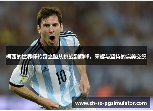 梅西的世界杯传奇之路从挑战到巅峰,荣耀与坚持的完美交织 梅西的世界杯传奇之路从挑战到巅峰,荣耀与坚持的完美交织