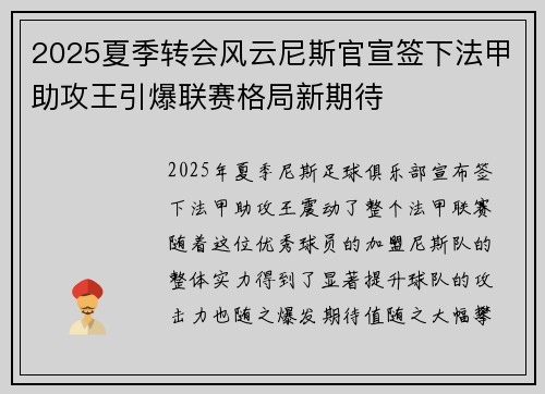 2025夏季转会风云尼斯官宣签下法甲助攻王引爆联赛格局新期待 2025夏季转会风云尼斯官宣签下法甲助攻王引爆联赛格局新期待